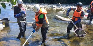 Diga di Pavana, continuano i monitoraggi ambientali