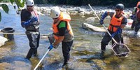 Diga di Pavana, continuano i monitoraggi ambientali