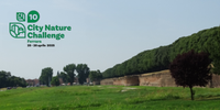 Ferrara partecipa al "City Nature Challenge 2025"