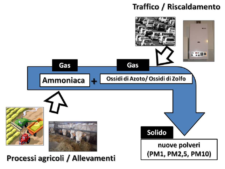 Il comportamento dell’ammoniaca