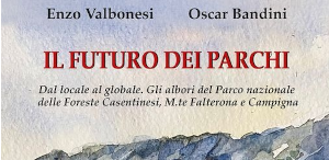 Foreste Casentinesi, come nasce e vive un parco