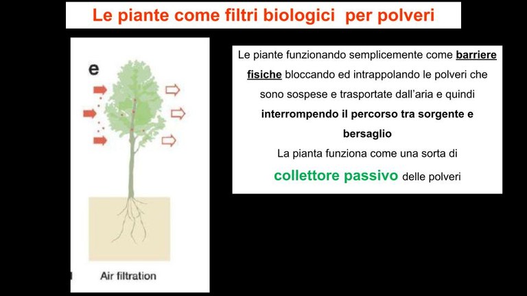 FRapparini_webinar_crisi_climatica-resilienza_urbana parte 3.pptx.jpg