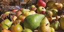 Frutti dimenticati e biodiversità recuperata