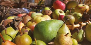 Frutti dimenticati e biodiversità recuperata