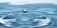 Oggi è la giornata Mondiale dell’acqua