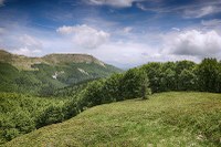 Il paesaggio e l'ambiente come bene comune. Opere, forme, istituzioni