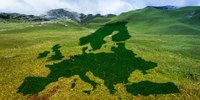 Il Parlamento europeo dichiara l'emergenza climatica