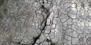 Il suolo è una risorsa critica per il clima