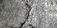 Il suolo è una risorsa critica per il clima