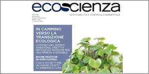 In cammino verso la transizione ecologica. Online Ecoscienza 2/2021