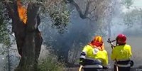 Incendi boschivi, prorogata la “fase di attenzione”