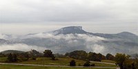 Incentivi per il biologico e per tutelare la biodiversità