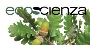 L’ambiente che cura. Online Ecoscienza 3/2026