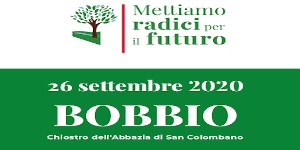L’educazione sull’albero