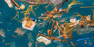 L'invasione della plastica in mare