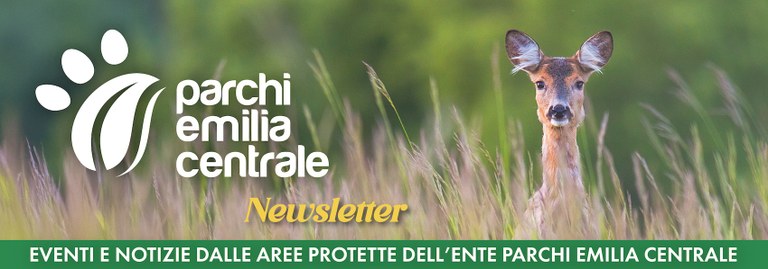 Logo newsletter Parchi Emilia Centrale.png