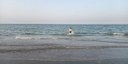 Mare, tornano balneabili tutte le acque