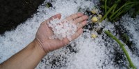 Meteo e clima Emilia-Romagna, intense anomalie estive