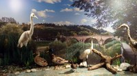 Naturalmente Cesena: turismo slow, biodiversità, patrimonio storico