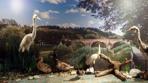 Naturalmente Cesena: turismo slow, biodiversità, patrimonio storico