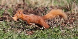 Nel ravennate e nel reggiano tante iniziative in natura per famiglie