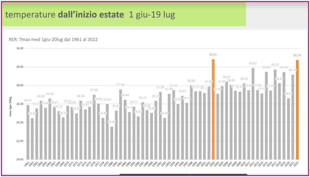 Grafico temperature 1/6-19/7