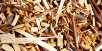 On line un nuovo dossier sulle Biomasse rinnovabili