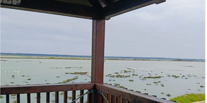 Parco Delta del Po, nuova torretta di avvistamento nell'area ravennate