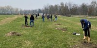 Parma, oltre 600 alberi messi a dimora dagli studenti