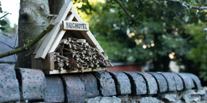 "Prendersi cura della biodiversità"