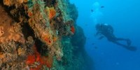 Progetto Adrireef Interreg: mappatura 3D del relitto Paguro