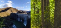 Progetto Blue Lakes, le microplastiche e le foreste