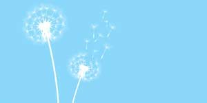 Qualità dell’aria, il 3 dicembre corso di formazione per giornalisti