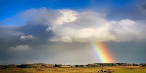 Rapporto annuale 2024 qualità dell'aria in provincia di Reggio Emilia