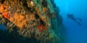 Relitto Paguro, al largo di Ravenna immersioni dal vivo e virtuali