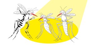 Ripartono in Emilia-Romagna le azioni di contrasto alla zanzara tigre