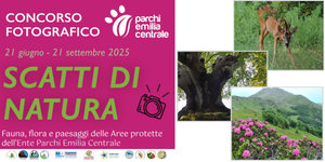“Scatti di Natura”, concorso fotografico dei Parchi Emilia Centrale