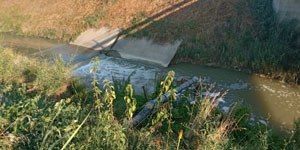 Schiuma nel Fosso Vecchio a Bagnacavallo (RA)