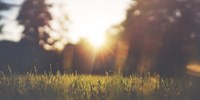 Come in Europa, anche in Italia nuovo record di caldo: +1,33 °C