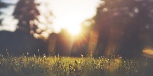 Come in Europa, anche in Italia nuovo record di caldo: +1,33 °C