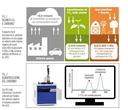 Bilancio CO2 e carbonio