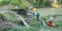 Sostanze inquinanti nel Ronco vicino a Forlì