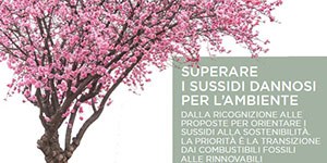 Superare i sussidi dannosi per l’ambiente. Online Ecoscienza 6/2020