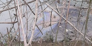 Sversamento nel fiume Reno tra Bologna e Ferrara