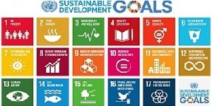 Agenda 2030, il punto sulla strategia nazionale e regionale