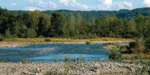 Tassonomia della fauna ittica delle acque interne Italiane