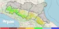 Una nuova mappa sullo stato della vegetazione forestale
