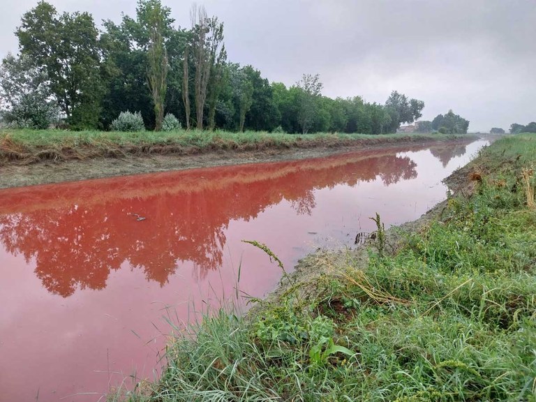 Canale Zaniolo