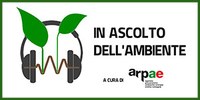 Zorba 2024, disponibile la seconda puntata