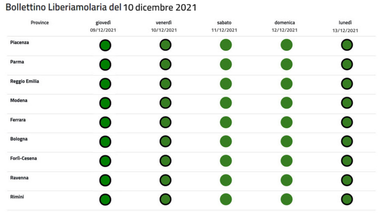 Immagine bollettino 10 dicembre 2021